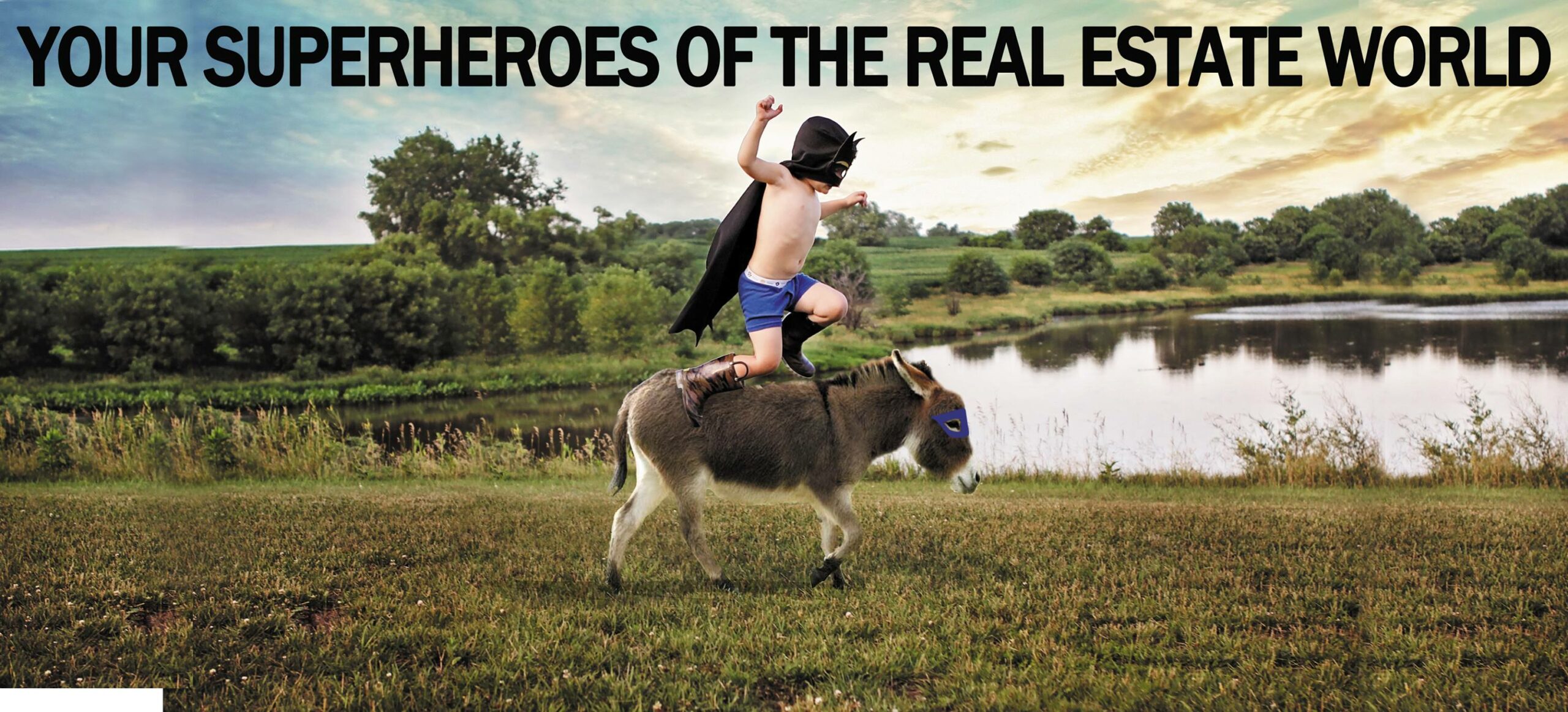 heroes of real estate donkey photo