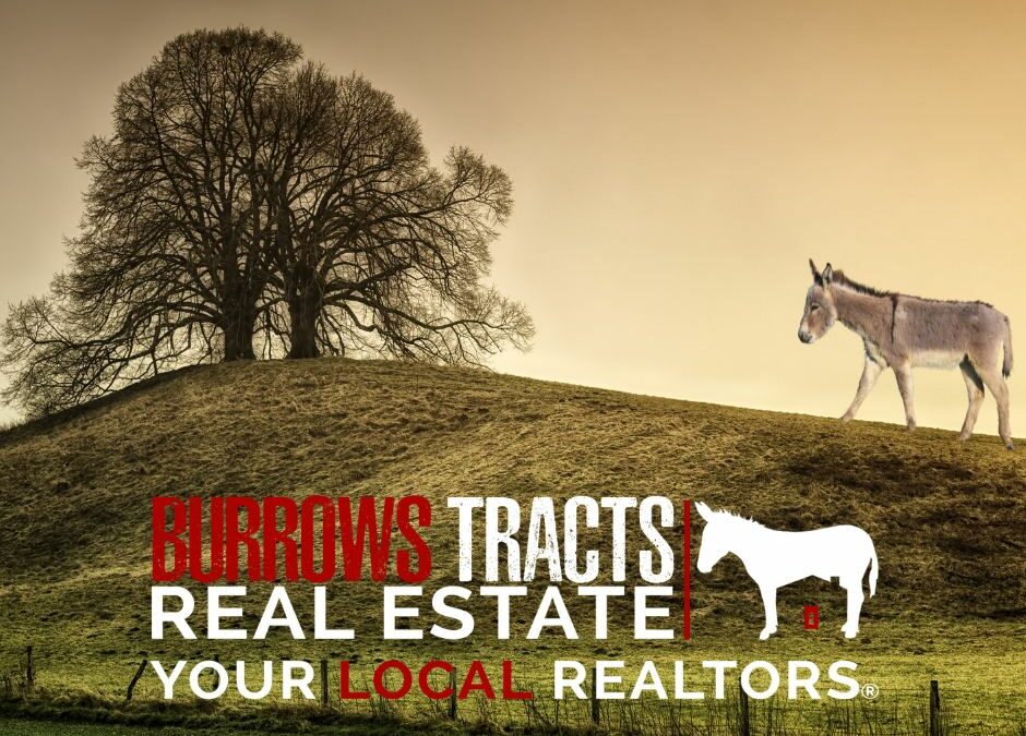 Burrows Tracts Real Estate | Your Local Realtors®